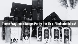 Discover How Ashleigh & Burwood Fragrance Lamps Purify the Air & Eliminate Odors - Unboxing Reveal!