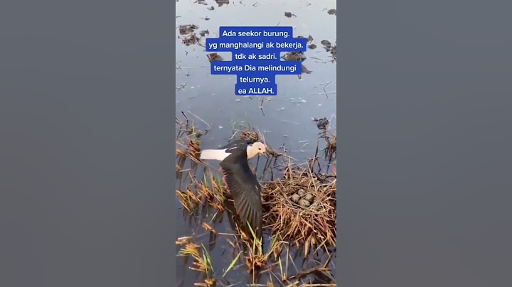 masya Allah sungguh baik hati pak tani ini#shots#shortvideo#burung#viralvideo