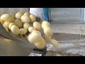 Potato peeler washer machinehow to peel the skin entirely and discharge the peeled potatoes