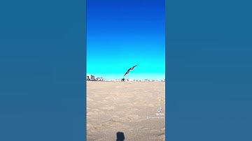 Introducing My V-Masque By Atelier Kites