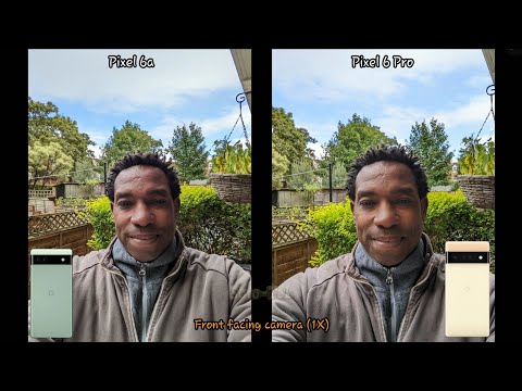 Pixel 6a vs Pixel 6 Pro Camera Test. MUCH CLOSER THAN I EXPECTED!