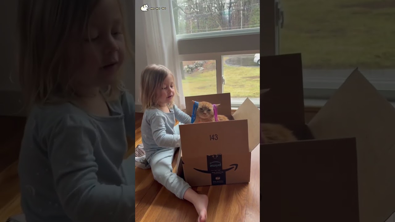 Cat’s are always patient with children 🤣😹