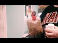Showing My Gecko Supplies