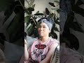 Harmonize Riff Challenge Harmonize Riff Challenge