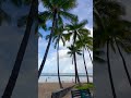 30秒で味わう天国！オアフ島の絶景ビーチ旅｜Hawaii Oahu Travel #shorts