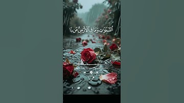 #آية_الكرسي #سورة_البقرة #أدعية #قرآن #حالات_واتس #ستوريات #اكسبلور #ترند #quran #dua #tiktok