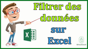 Comment filtrer des données sur Excel