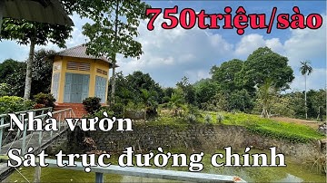 Nhà vườn Xà Bang đầy đủ cây trái chỉ mua về là hưởng~ Vườn đẹp Châu Đức
