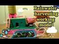 Rainwater harvesting working model  diy at home  agathiron