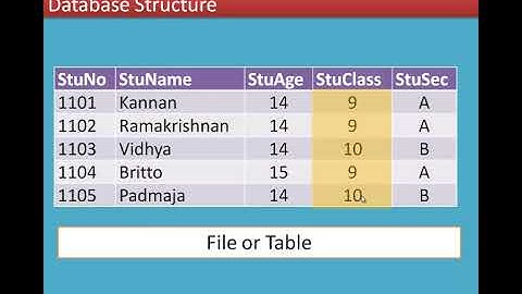 4/8 Chapter 11 Database Concepts