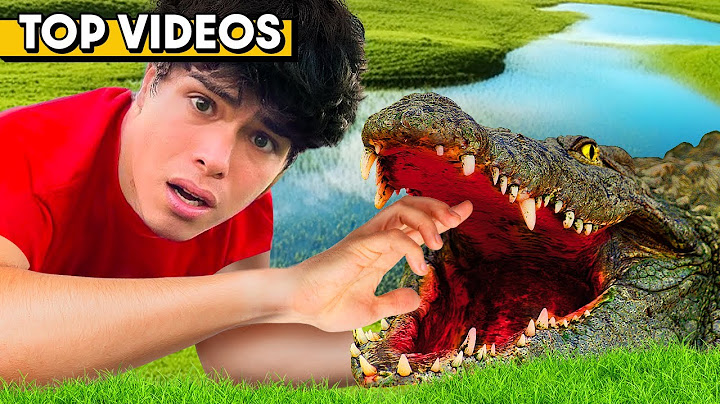 7 EXTREME Ways to SURVIVE for 24 Hours! | Stokes Twins