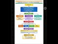 Article 21 Explained | Right to Life and Personal Liberty | Indian Constitution #indianconstituion