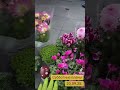 21 сентября 2025 г.