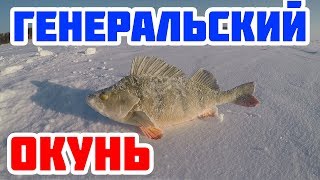 Генеральский окунь. Раздача окуней. Дуплеты