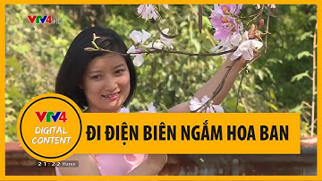 Đi Điện Biên ngắm hoa ban | VTV4