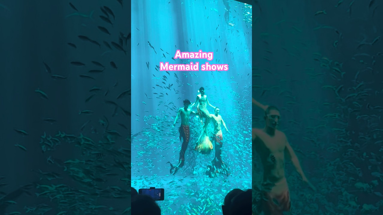 Amazing Mermaid Shows | #fypシ #show #mermaid #amazing