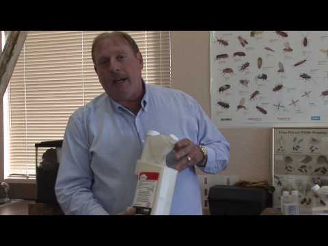 Pest Control :