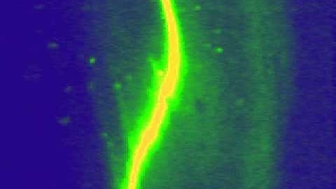 free-flow ITP on chip, middle area