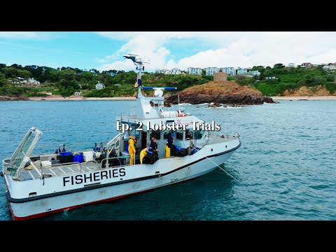 Lobster Trials
