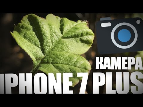 Камера iPhone 7 Plus. Давайте посмотрим фото Камера iPhone 7 Plus. Давайте посмотрим фото