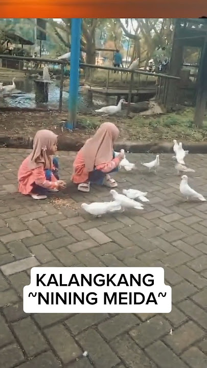 Lagu Sunda Yang Wajib Didengar || Kalangkang - Nining Meida