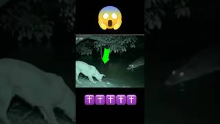 Sadri Jesus Song  Nagpuri Devotional Song L Nagpuri Christian Song  Mashi Geet  Dharmik Gane