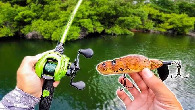 Fishing With A Crazy Beaver Lure (Insane Topwater Explosions