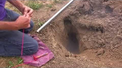 Bottle Rocket into a gopher hole