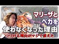【スト６】SHAKAがマリーザとベガをやらなくなった理由と、道着キャラを使わない理由