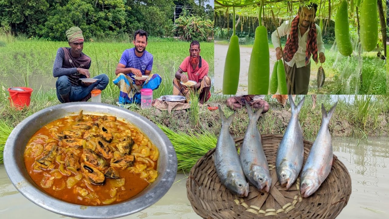 তাজা রুপালি ইলিশ দিয়ে কদু খাইতে লাগে মধুর মত। 