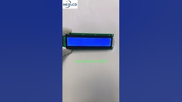 2402 character dot matrix LCD module, blue #electronic