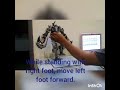 Dracoid - How to make humanoid robot walk part 2