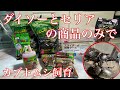 進化したダイソーとセリアの商品のみで、カブトムシ飼育してみた