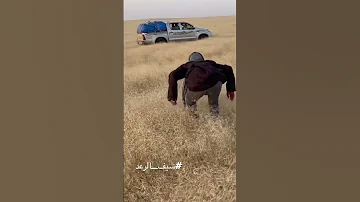صيد لم يكت له النجاح مع الغزال رحلات صيد سيف الرعد اكسبلور 