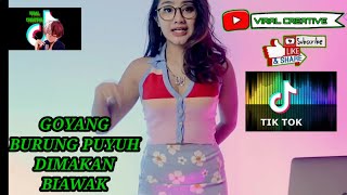 DJ TIKTOK VIRAL BURUNG PUYUH DIMAKAN BIAWAK#GEAYOUBI