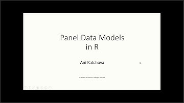 Panel Data Models in R