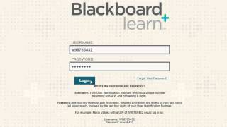 Logging into Blackboard