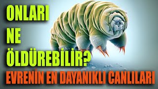 Tardigratlar: Evrenin En Dayanıklı Canlıları - Sizce Tartigratları Ne Öldürür? Cevabı Videomuzda!