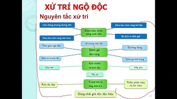 DƯỢC LÂM SÀNG - ĐỘC CHẤT P1