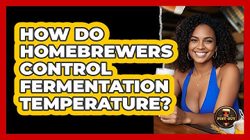 How Do Homebrewers Control Fermentation Temperature? - The Pint Guy