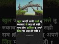 😎motivational video for struggle 🙏🔥#motivation#struggle#competition#successmindset #ssc