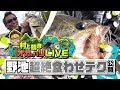 村上晴彦オカッパリLIVE「野池超絶食わせテク」公開