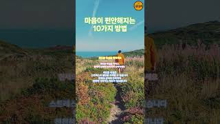 과도한 욕심을 버리세요...마음이 편안해지는 10가지 방법  스트레스 없는 일상 만들기  마음의 평화를 위한 10가지 실천법  행복습관, 성공습관, 마음의 위로가 되는 1분심리