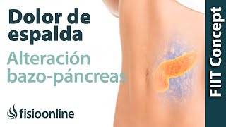 Tratamiento para dolor de espalda  dorsal provocado por una alteración del bazo y páncreas