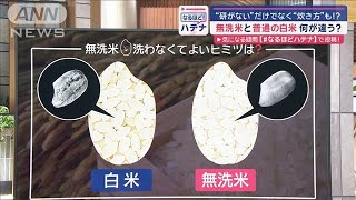無洗米と普通の白米…何が違う「研がなくていいだけじゃない」【スーパーJチャンネル】(2024年6月6日)