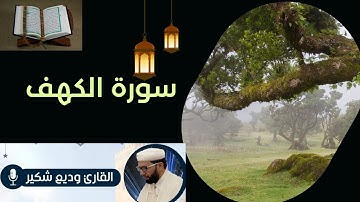 سورة الكهف بصوة وديع شاكر