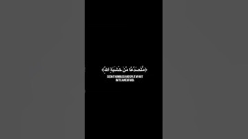 القارئ ماهر المعيقلي || لو أنزلنا هذا القرآن على جبل لرايته خشعا || كروما سوداء #كرومات_قرآن