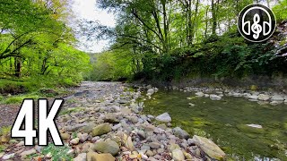 Relaxing sounds of the river with the singing of forest birds. 10 hours for sleep, work, study.