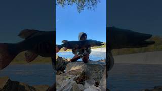 Coolest fish I have ever caught!😈😈🎣#fishing