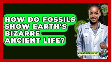 How Do Fossils Show Earth